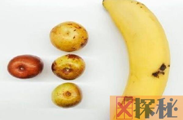 冬枣能和香蕉一起吃吗 冬枣和香蕉同食的后果有哪些