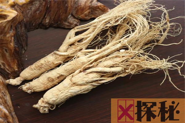 干野山参保质期有多久 干野山参的吃法和作用