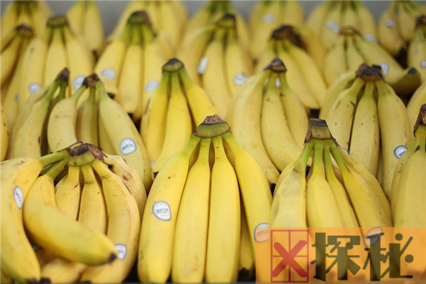 香蕉和黄桃能一起吃吗 能，黄桃预防衰老/香蕉润肠通便