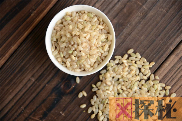 大米和糙米的区别 外观有区别大米更精致一些