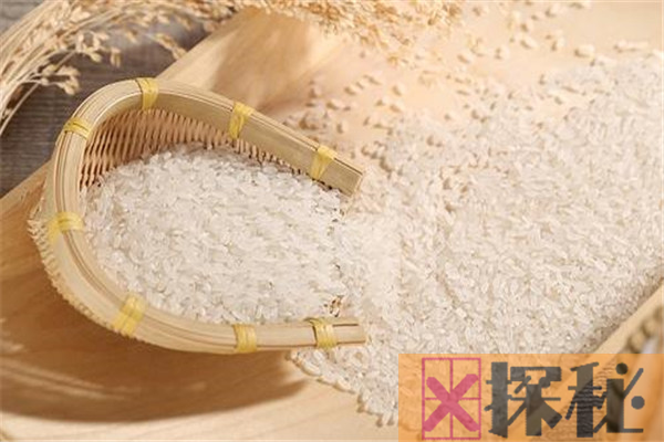 大米和糙米的区别 外观有区别大米更精致一些