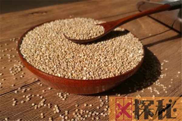 糙米和藜麦的区别 糙米和藜麦可以当作主食吗