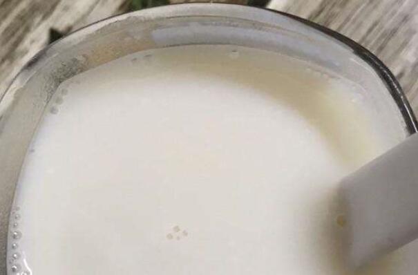 蛋白粉怎么吃效果好 搭配牛奶豆浆都不错