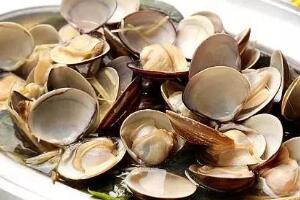 蛤蜊壳是属于什么的垃圾，干垃圾（不易腐熟、粉碎）