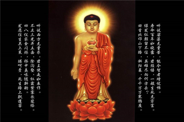 佛界最大的三位佛是谁 南无释迦摩尼佛是佛教学说的创建者