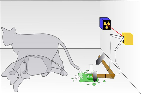 薛定谔的猫的恐怖之处 薛定谔为什么会提出猫的实验