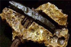 四亿年前的铁锤真相 四亿年前真的有铁锤存在吗