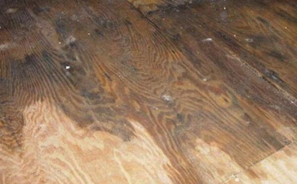 木地板发霉对身体有害吗，有害（家里要多通风）