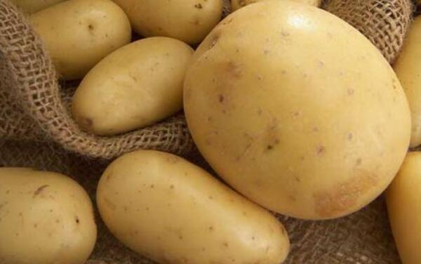 土豆表皮有点白毛能吃么，不能吃（含有毒的生物碱）