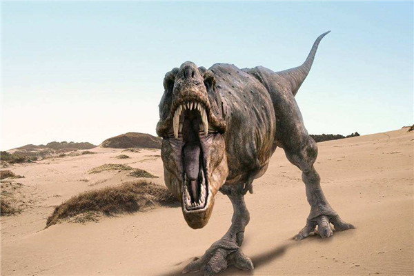 恐龙灭绝的十大原因 有十种关于恐龙灭绝的猜测