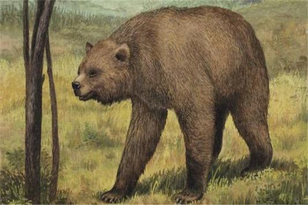 最大的短面熊有多大 身长达5米最重一千七百公斤