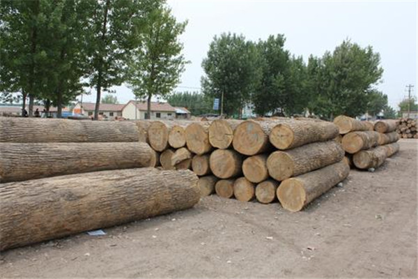 中国木材硬度排名前五名 海南黄花梨是我国最硬的木头