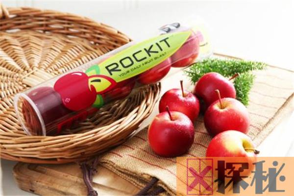 世界上最小的苹果是什么 Rockit苹果（原产自新西兰）