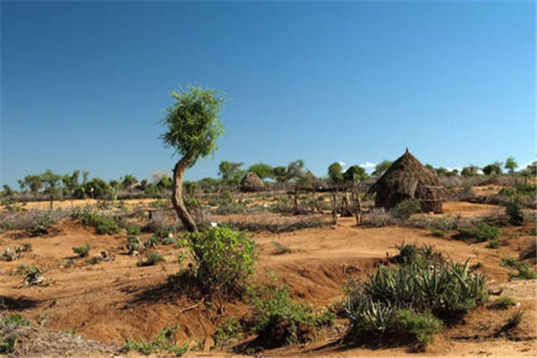 干旱区面积最大的大洲是什么洲 非洲（自然灾害多）
