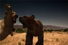 巨型短面熊的对手是谁 巨型短面熊和美洲拟狮谁厉害
