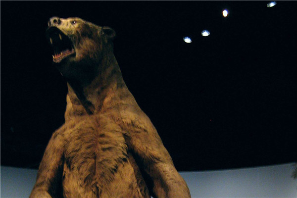 揭秘3400斤史上最大的熊 短面熊是什么熊长什么样子