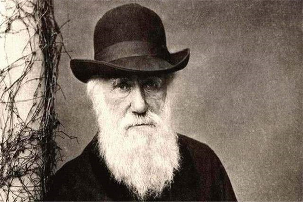 达尔文进化论基本观点 达尔文进化论有没有科学性