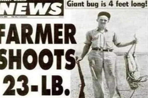 1991年射杀最大蝗虫揭秘 真的有这么大的蝗虫存在吗