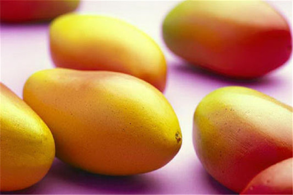 世界上最大的芒果有多少斤 比成年人头更大（重超8斤）