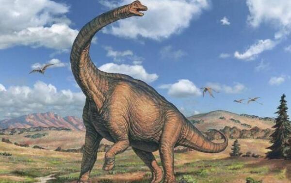 关于恐龙的10个世界之最，沧龙最强大（最长恐龙80米）