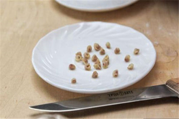 世界上最小的饺子是在哪里 仅0.016克俄罗斯巴库琳娜制作