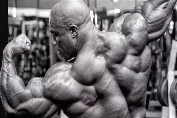世界上最强壮的人是谁 罗尼库尔曼被称为最强肌肉男