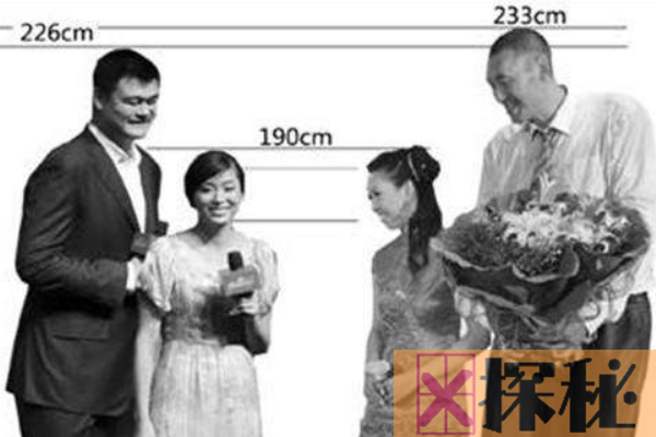 世界上最高的夫妻:俩人总身高4.23米(丈夫比姚明还高)