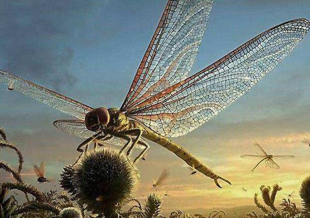世界上最奇特的昆虫排行 个个长得千奇百怪