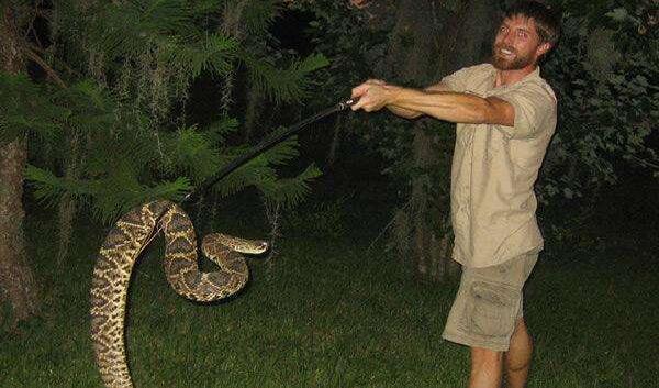 世界上体型最长的毒蛇，5.58米眼镜王蛇排第一（第二4.48米）