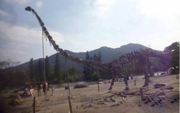 世界上最大的动物长80米，易碎双腔龙（1877年挖到化石）