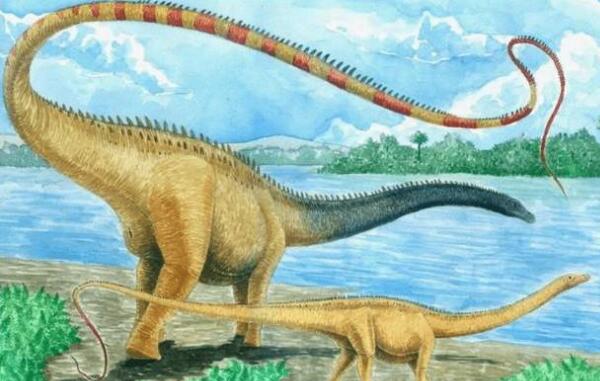 世界上最大的动物长80米，易碎双腔龙（1877年挖到化石）