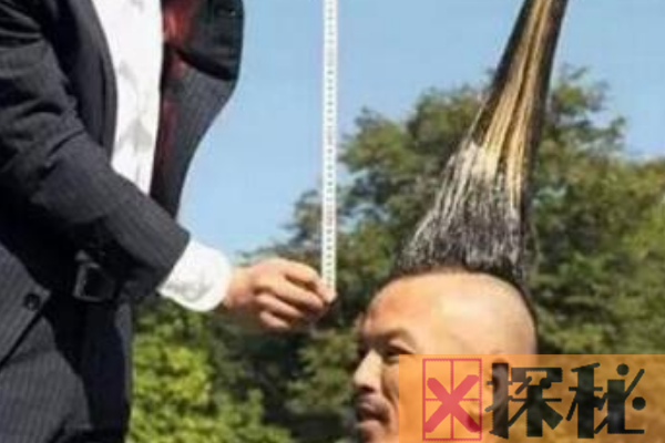 世界上最高的莫希干式发型:长达1.18米(和8岁小孩等高)