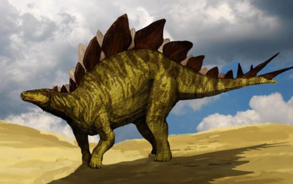 世界上脑最小的恐龙剑龙，体长9米脑重70克（人脑重1400克）