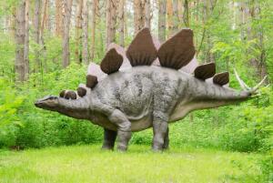世界上脑最小的恐龙剑龙，体长9米脑重70克（人脑重1400克）