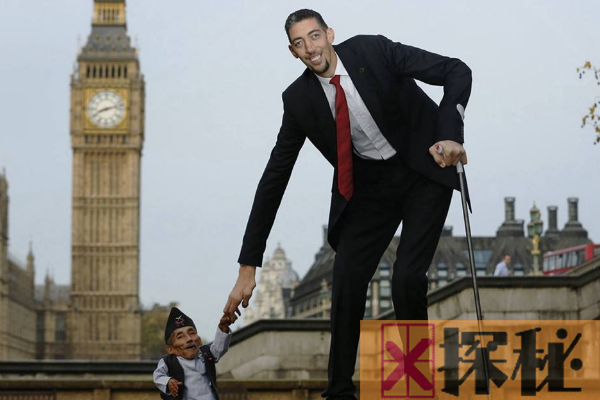 世界上最高的人苏尔坦·科森:身高2.46米(走路靠拐杖)