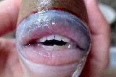 马来西亚发现长着人类牙齿和嘴唇的怪鱼 神秘鱼成网红