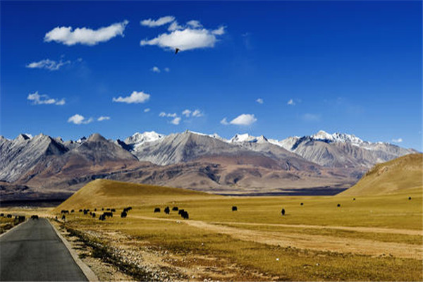 世界最大的高原 青藏高原（冰川广布一眼望去都是冰雪）