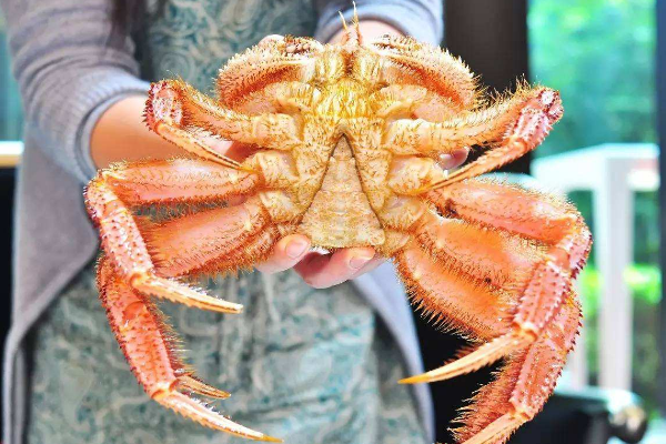 世界上最贵的十大海鲜:蓝龙虾上榜 第一每斤2万多元