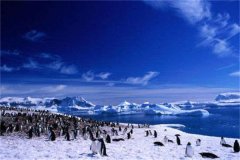 世界上最冷的国家 南极洲（没有长期居民只有登山队）
