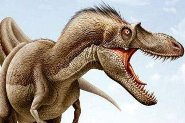 白垩纪肉食暴龙：惧龙 能与霸王龙一较高下(有60颗尖牙)