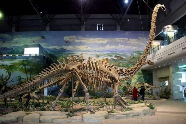 侏罗纪蜥脚恐龙：大山铺龙 身长17米(发现于中国自贡)