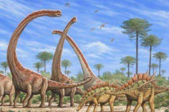 侏罗纪蜥脚恐龙：大山铺龙 身长17米(发现于中国自贡)