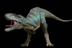 白垩纪肉食暴龙：惧龙 能与霸王龙一较高下(有60颗尖牙)