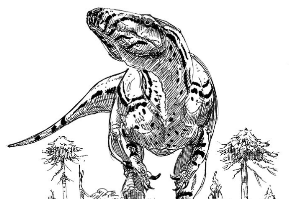 中型食肉恐龙:迪布勒伊洛龙 活于1.67亿年前(仅发现颅骨)