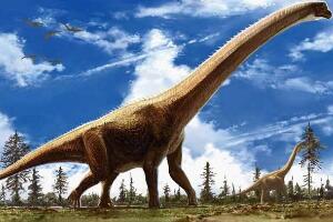 波塞东龙：已知最高的恐龙（17米高/北美洲超巨型恐龙）