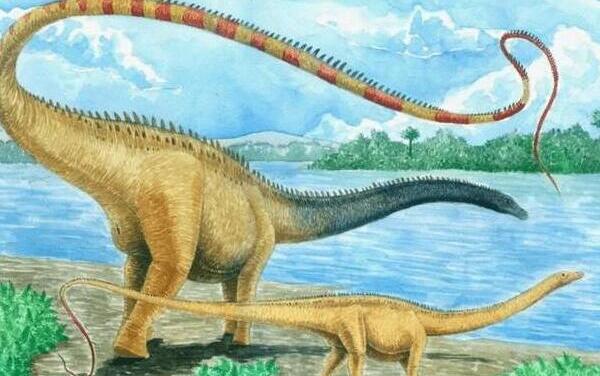 小盾龙：北美洲小型食草恐龙（长1.2米/距今1.95亿年前）
