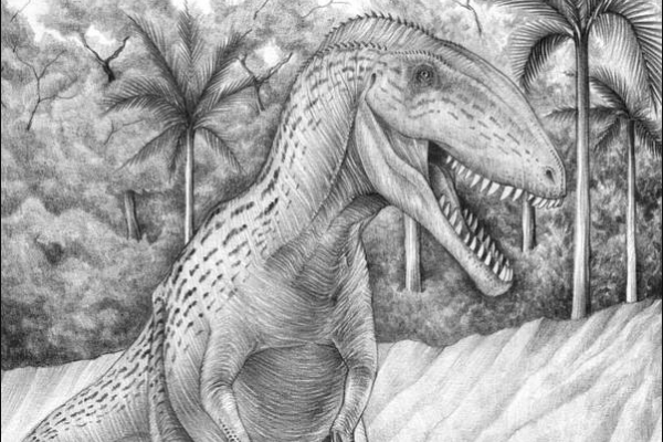 非洲巨型肉食恐龙:始鲨齿龙 牙齿内勾(像匕首一样锋利)