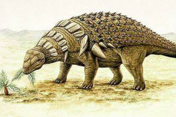 大型植食恐龙：埃德蒙顿甲龙 全身布满骨质刺(防御超强)