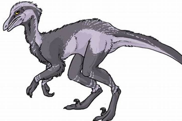 小型食肉恐龙:欧爪牙龙 身长2米(仅3颗牙齿出土)