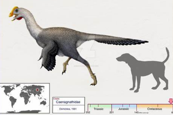 亚洲小型食肉恐龙：单足龙 仅发现一块脚掌骨(形似鸟类)